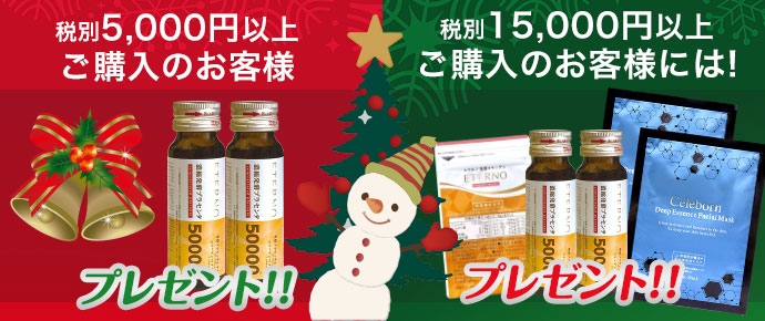 クリスマスプレゼント