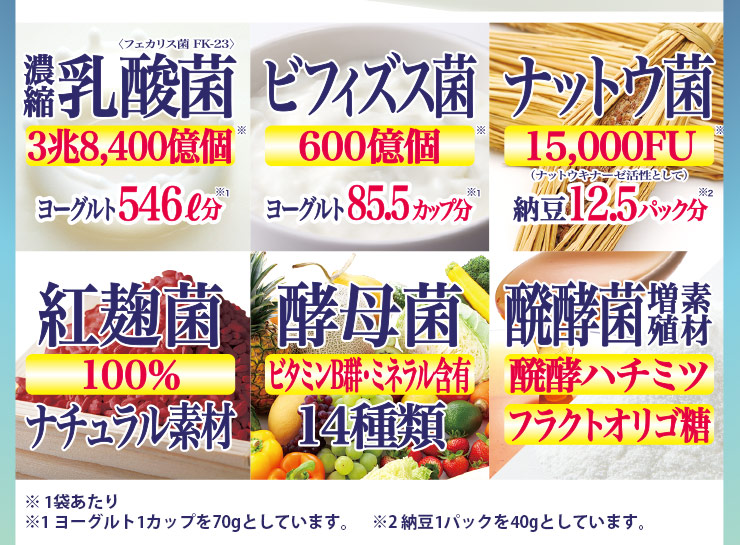 公式＞エテルノオンラインショップ / からだにとどく 食べる菌 60粒入